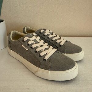 TAOS Gray Canvas Sneakers with Cream Laces